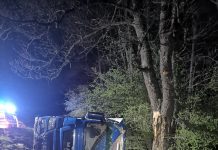 TIR încărcat cu alimente răsturnat în Pădurea Bogăţii