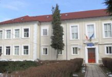 Şcoala online, la Liceul ,,I Drăguşanu” din Victoria