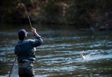 Liber la pescuit în apele de munte