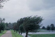 Avertizare ANM: Vânt şi ploi până joi seara. La Bâlea Lac stratul de zăpadă depăşeşte 1 m