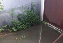 Foto. Ploile torenţiale au inundat beciuri, gospodării, terenuri agricole şi străzi din satele comunei Mândra. Şi la Făgăraş au fost afectate gospodării