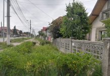 Foto. A refulat canalizarea pe strada Doamna Stanca din Făgăraş. Lucrările sunt de mântuială, se plâng locatarii