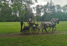 Herghelia Sâmbăta de Jos, Campioană Națională al șaselea an consecutiv