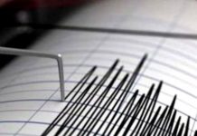 Cutremur de Rusalii cu magnitudinea de 3,7 grade. În ce oraşe s-a simţit
