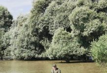 Acţiuni pentru combaterea pescuitului ilegal pe râul Olt