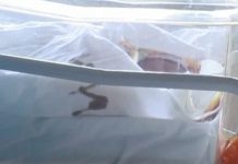 Femeia din Hurez, care a născut la Maternitatea Făgăraş, şi bebeluşul ei nu au COVID-19. Rezultatul testului a fost negativ