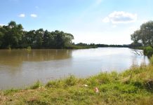 Minidelta de la Olt atrage tot mai mulţi pescari