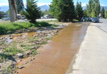 Video şi Foto. Dezastrul ecologic produs de Purolite la Victoria. Apele reziduale din procesul de producţie au fost deversate direct în stradă