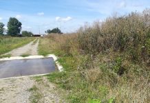 Foto şi VIDEO: ,,Vom face, vom autoriza, vom avea un proiect”. Târgul de produse agricole, lovit de promisiuni electorale