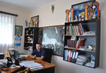 Foto. Lipiţanul, legenda vie a Înaltei Şcoli de Echitaţie de la Viena. Palmaresul lipiţanilor de la Herghelia Sâmbăta de Jos