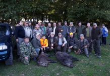 S-a deschis sezonul de vânătoare la mistreț. Prima vânătoare colectivă s-a organizat la Rucăr