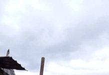 Agoniseala s-a făcut scrum. Nicolae Grecu: ,,Priveam flăcările puternice şi nu puteam face nimic”