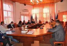 Comisiile de specialitate din Legislativul de la Victoria. Cinci comisii cu câte trei membri