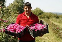 Dan Florea Ucea de Sus, renumit pentru dulceaţa de trandafiri, a adăugat plantaţiei şi aronia