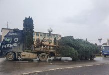 Foto si VIDEO. Bradul de Crăciun din centrul orașului Victoria a fost donat de o familie din Ucea de Jos. Căsuţa Moşului va fi amplasată în casa de cultură