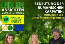 Lecţia Conservation Carpathia şi Viola Von Cramon: cum să duci de nas 82 de europarlamentari