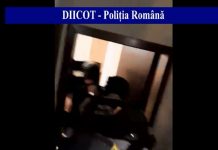 Doi făgărăşeni au fost arestaţi pentru contrabandă cu ţigarete şi trafic cu cannabis
