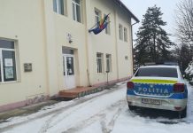 Poliţia Victoria la bilanţ: viol, ultraj, violenţă domestică şi acţiuni de prevenire COVID-19