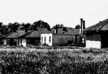 Rezistenţa Anticomunistă: ,,Eram bătuţi, flămânzi, intram în apă până în ghenunchi şi căram maldării de stuf câte 2-3 km. Majoritatea ne-am îmbolnăvit”