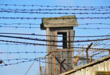 Rezistenţa Anticomunistă: Sabin Mare, ginerele renumitului cofetar Embacher din Făgăraş, capturat şi ucis de Securitate. Documente CNSAS