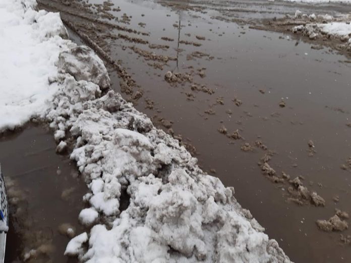 161668018_2939333566285869_1267823715036267664_n