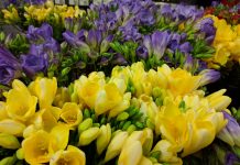 8 Martie, Ziua Internaţională a Femeii. La mulţi ani tuturor mamelor, doamnelor şi domnişoarelor!