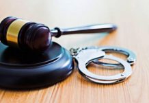 Lupul paznic la oi: Tronciu, condamnat pentru înşelăciune. Decizia instanţei