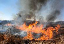 Foto. Incendiu de vegetație uscată în apropiere de DN 1, între Olteţ şi Sâmbăta de Jos