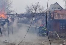 Foto. Incendiu la Viştişoara. Au ars anexele unei gospodării