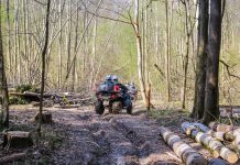 Plimbările în pădure cu ATV-urile, motociclete sau enduro sunt interzise. AVPS Făgăraş va aplica amenzi