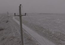 Reţeaua electrică afectată de zăpadă. În ce localităţi făgărăşene nu este curent electric