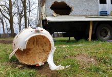 Foto. Un urs a atacat la Recea. Un apicultor a montat gard electric pentru a-şi proteja stupii