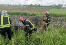 Foto şi video. Un cal a căzut într-un canal de la Olt. Animalul a fost scos teafăr din apă