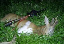 A ajuns în arest după ce a împuşcat ilegal un căprior