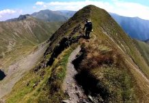 Viperele au reapărut pe potecile din Munții Făgărașului. Ce recomandă salvamontiştii