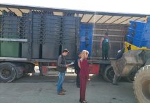 Colectare selectivă de la 1 iulie, la Victoria. Primăria a achiziţionat deja europubele şi eurocontainere