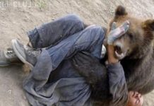 Tânăr atacat de urs la Iaşi. ,,Credeam că mă omoară!” Băiatul de 19 ani a fost transportat la spitalul din Făgăraş