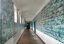 Rezistenţa Anticomunistă. Reîntâlnirea cu istoria