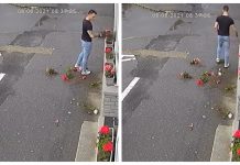 Tânăr din Făgăraş, reţinut pentru distrugerea ghivecelor cu flori