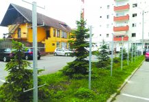 Idei năstruşnice în Primărie. Făgărăşenii, cu gunoiul ,,în pom”