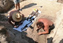 Foto. Comunicat AFDPR: Cercetările arheologice din cimitirul deţinuţilor politici de la Periprava. S-au identificat 72 de morminte monitorfg