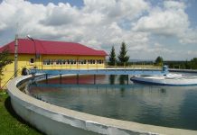 Director nou la Aromapa Serv Ucea. Ing. Danciu Crăciun a câştigat concursul organizat de Primăria Ucea