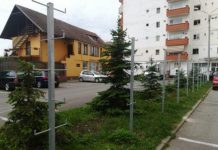 PNL Făgăraş: ,,Primarul să renunțe la proiectul pilot de pe str. Câmpului. E o rușine! „Țepele” sunt un exemplu de „așa, nu!”