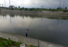 Pescar fără permis prins la pescuit pe Olt. AVPS l-a amendat cu 300 lei
