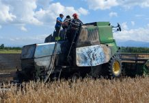 O combină a luat foc pe un câmp din Drăguş. Flăcările s-au întins pe un ha de teren