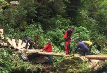 Foto. Tomas Bross: ,,Am construit un podeţ nou pe Valea Viştea Mare’’ monitorfg