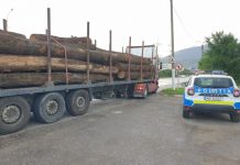 Ministrul Transporturilor anunţă ,,controale pe bune în toată ţara”. Amenzi de 1,7 milioane de lei