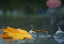 INM: frig şi ploi. Prognoza meteo pentru intervalul 20 septembrie- 3 octombrie