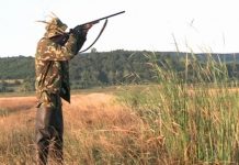 S-a deschis sezonul de vânătoare la raţe, porumbei şi lişiţe