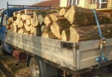 Amendat pentru că transporta lemne fără documente legale